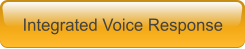 Integrated Voice Response